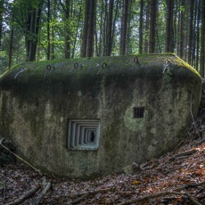 Bunker Schöberlinie